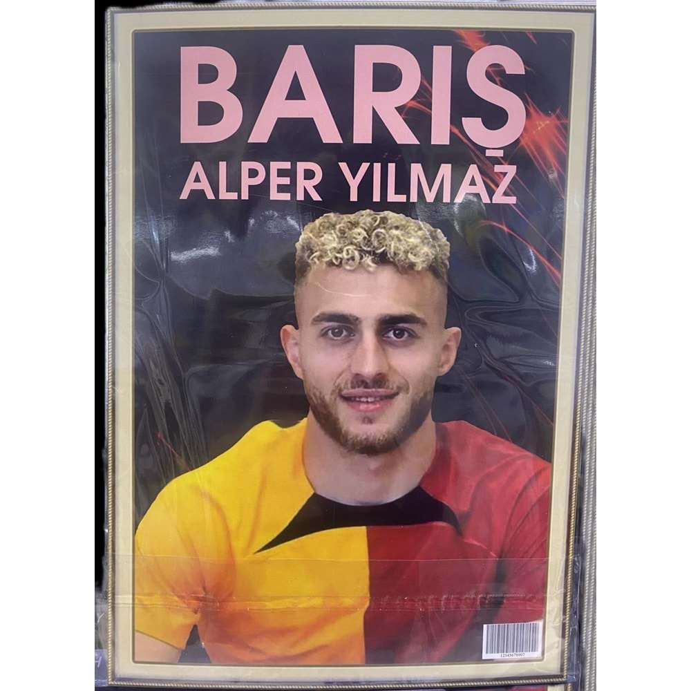 Poster Barış Alper Yılmaz
