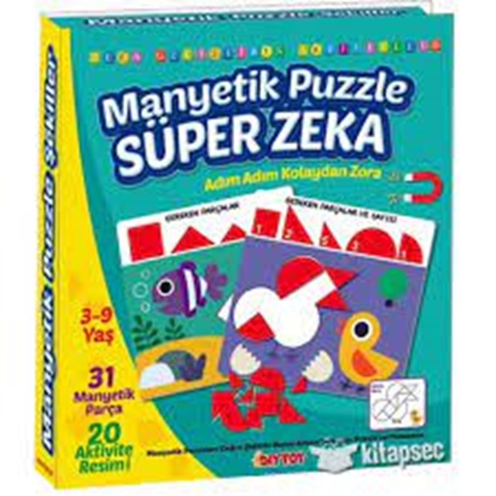 Diytoy Manyetik Puzzle Süper Zeka