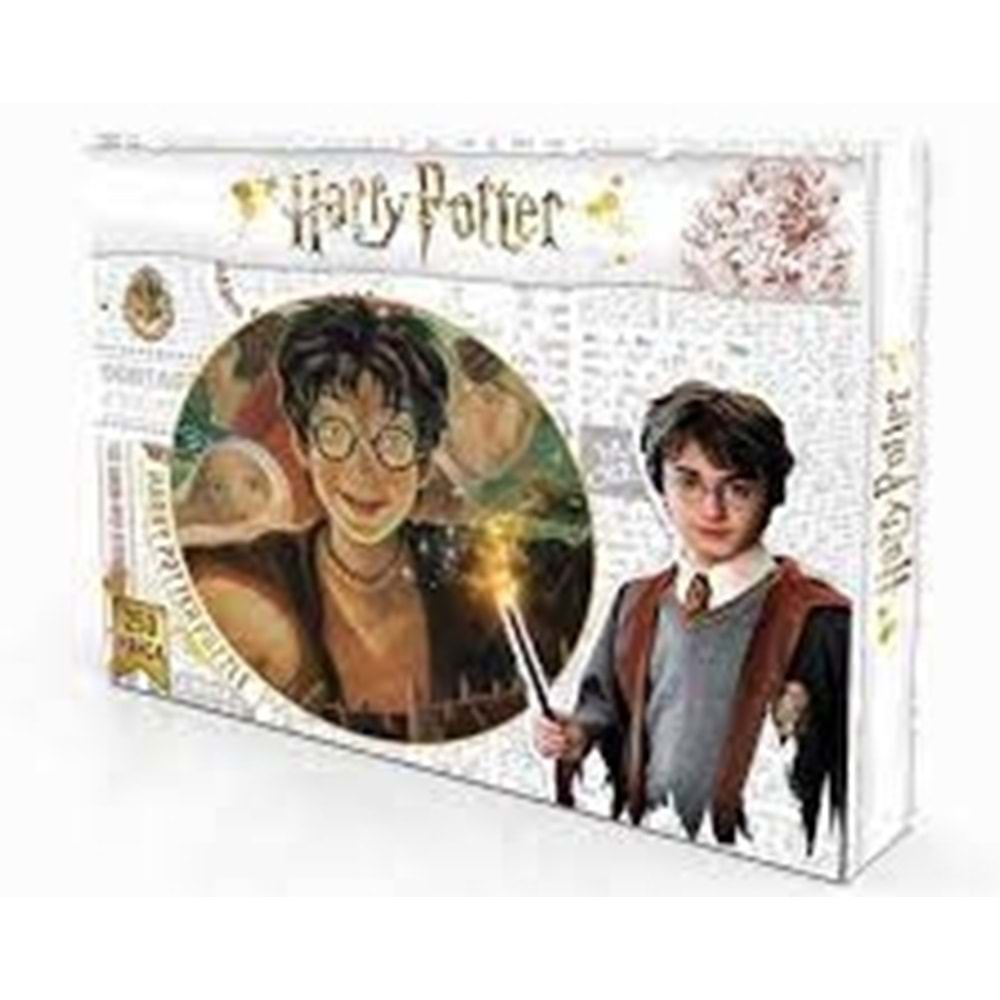 Harry Potter 250 Parça Puzzle