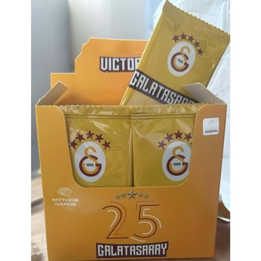 Galatasaray Futbolcu 5 Yıldızlı Kartları Takımı 24 Lü