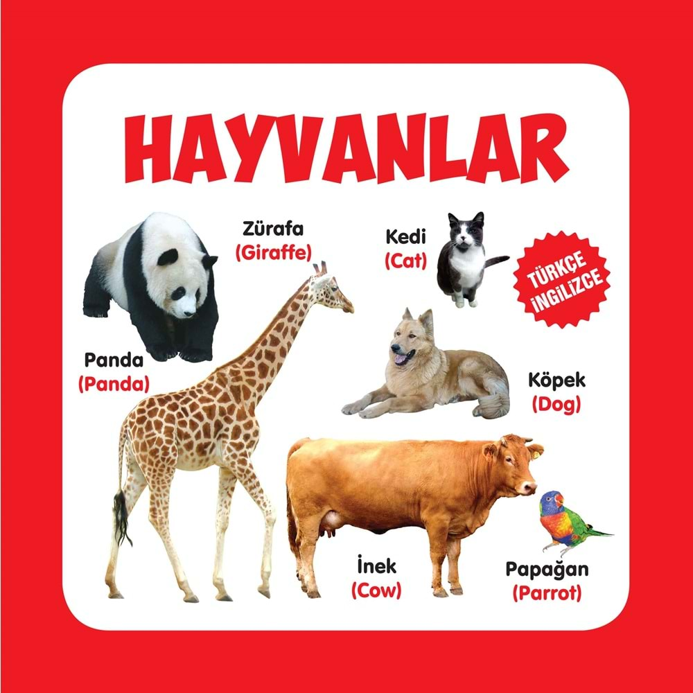 Hayvanlar