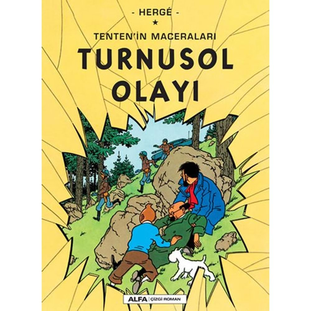 Turnusol Olayı Tentenin Maceraları