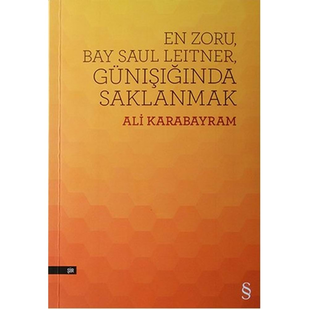 En Zoru, Bay Saul Leitner, Gün Işığında Saklanmak