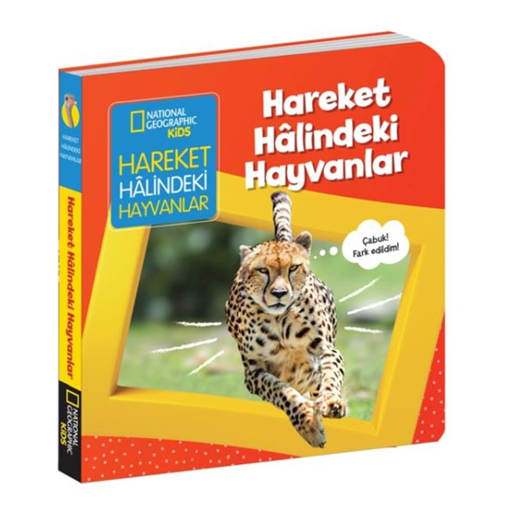 Hareket Halindeki Hayvanlar - İlk Kitaplarım Serisi