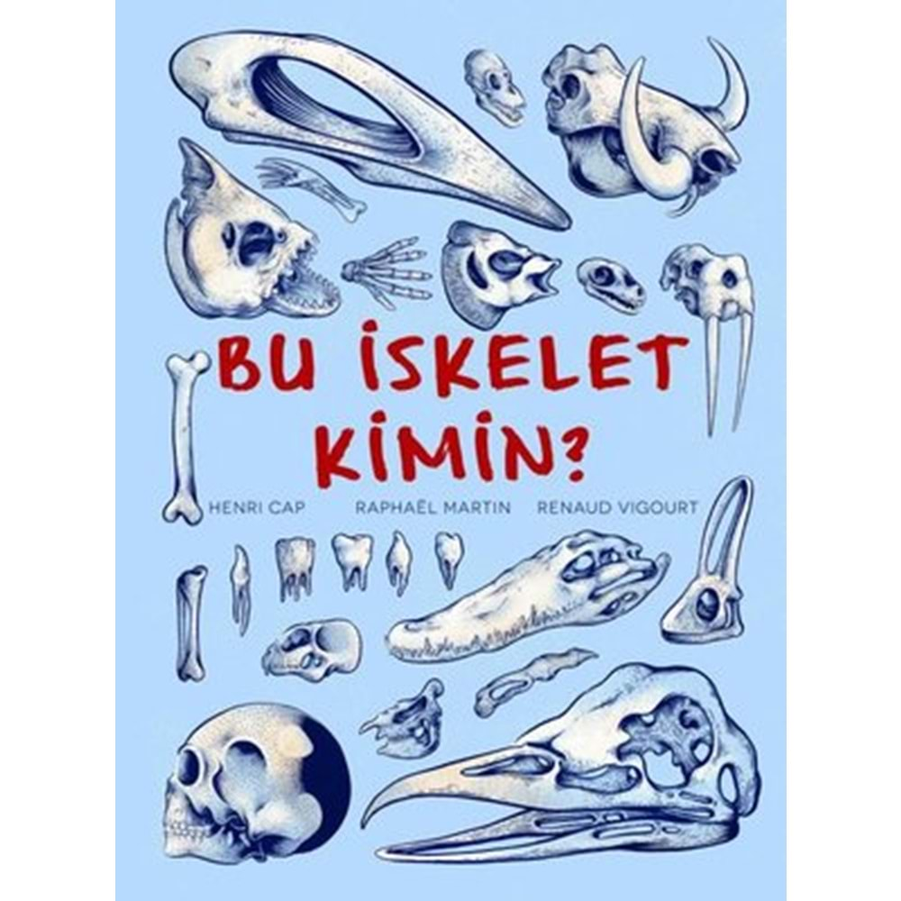 Bu İskelet Kimin?