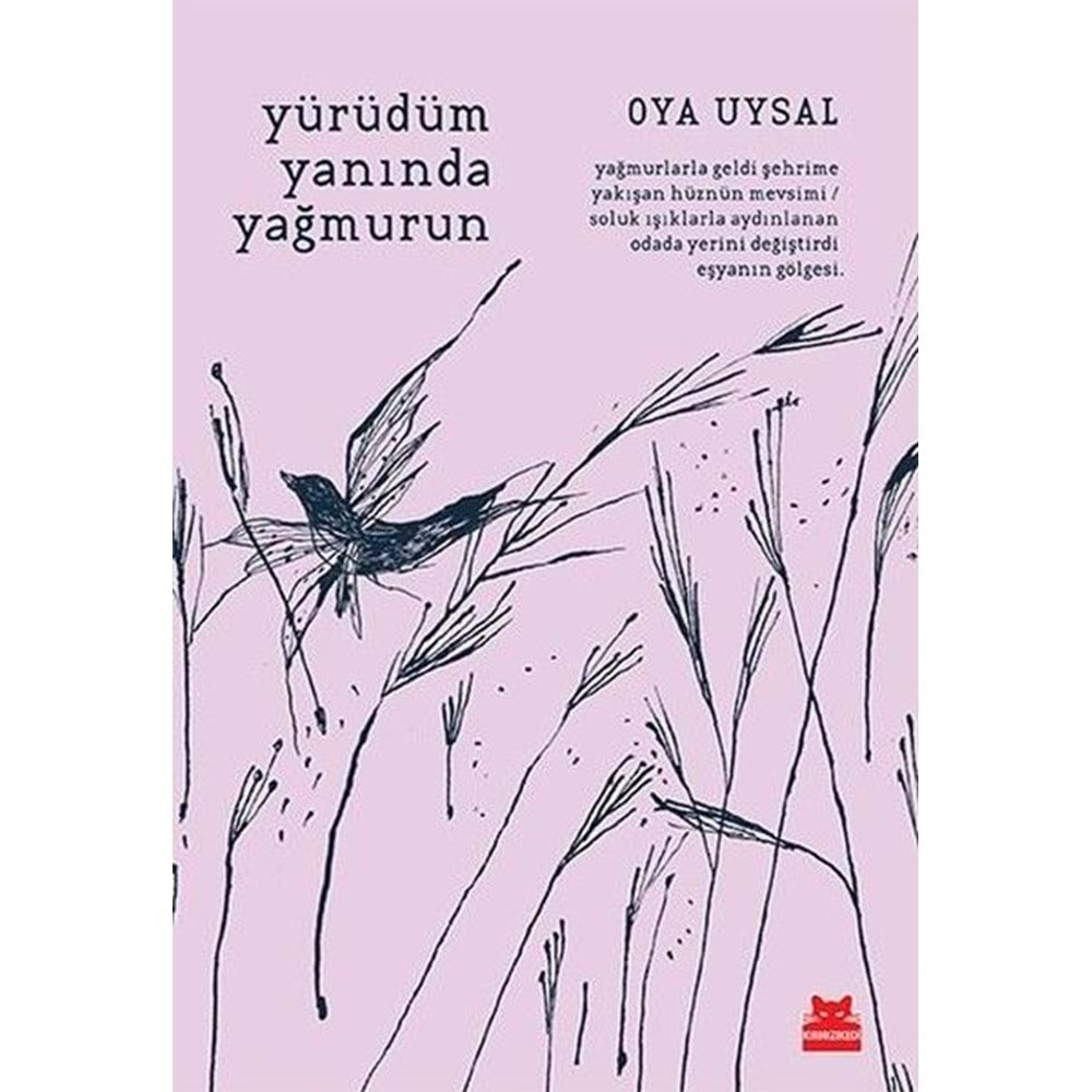 Yürüdüm Yanında Yağmurun