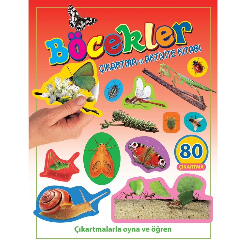 Böcekler - Çıkartma Aktivite Kitabı