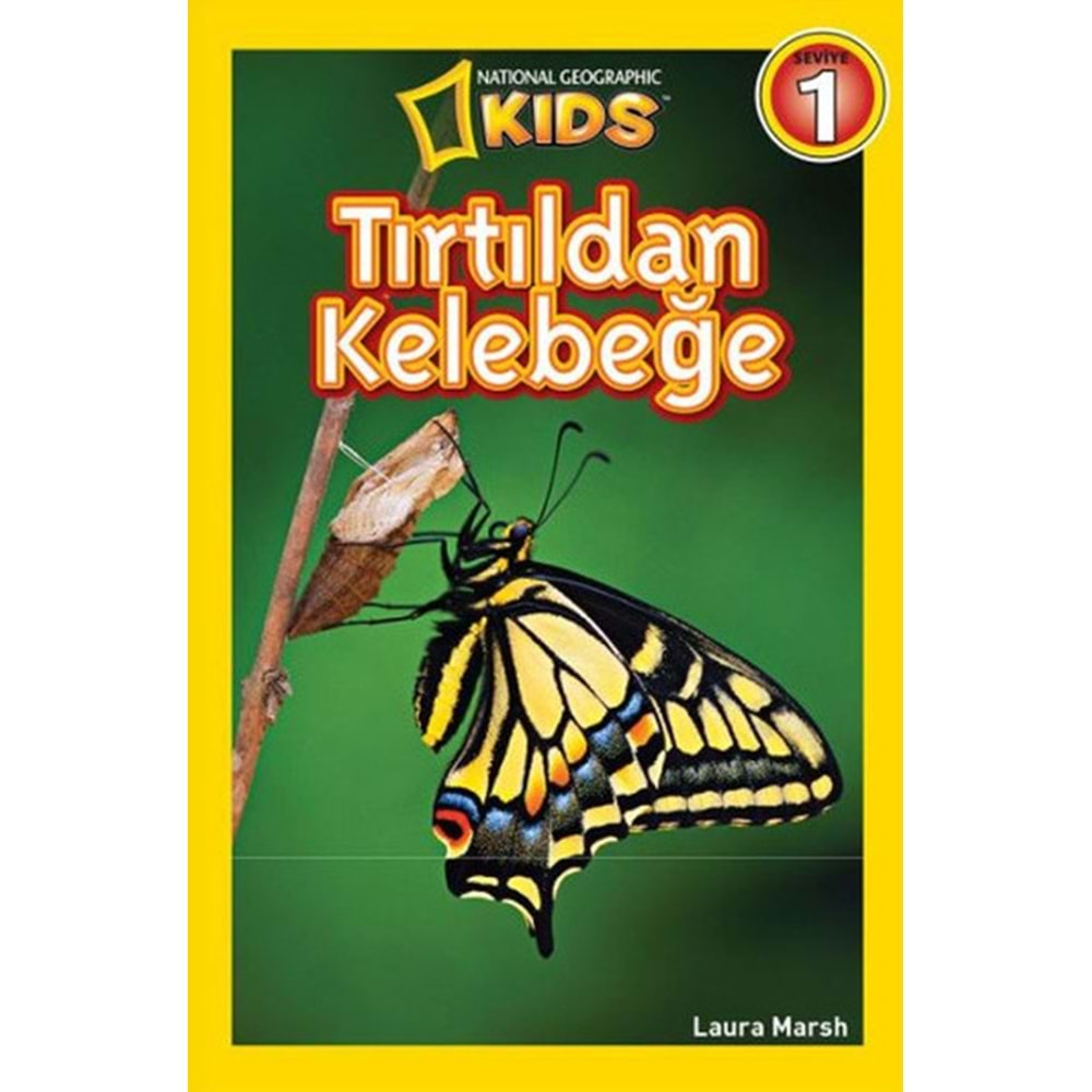 National Geographic Kids Tırtıldan Kelebeğe