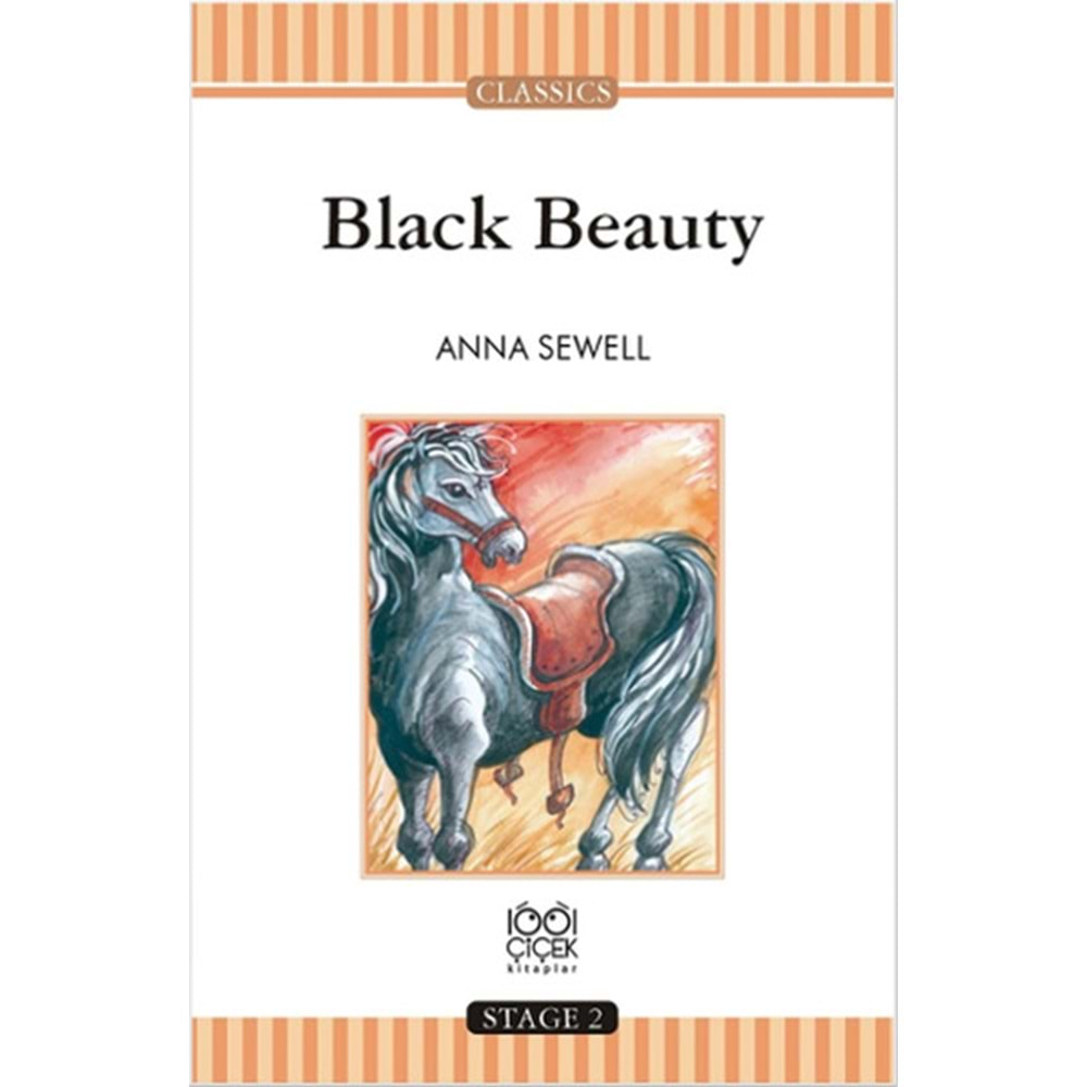 Black Beauty Stage 2 Books