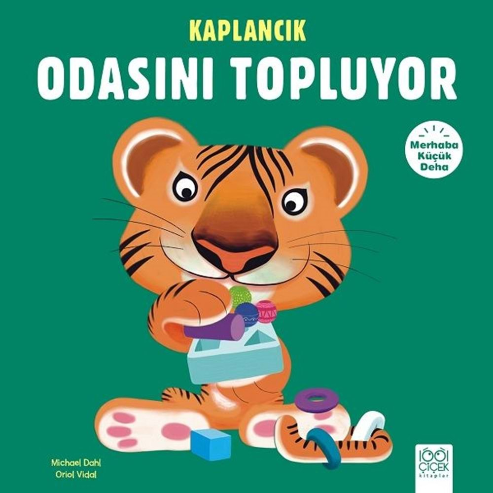 Kaplancık Odasını Topluyor