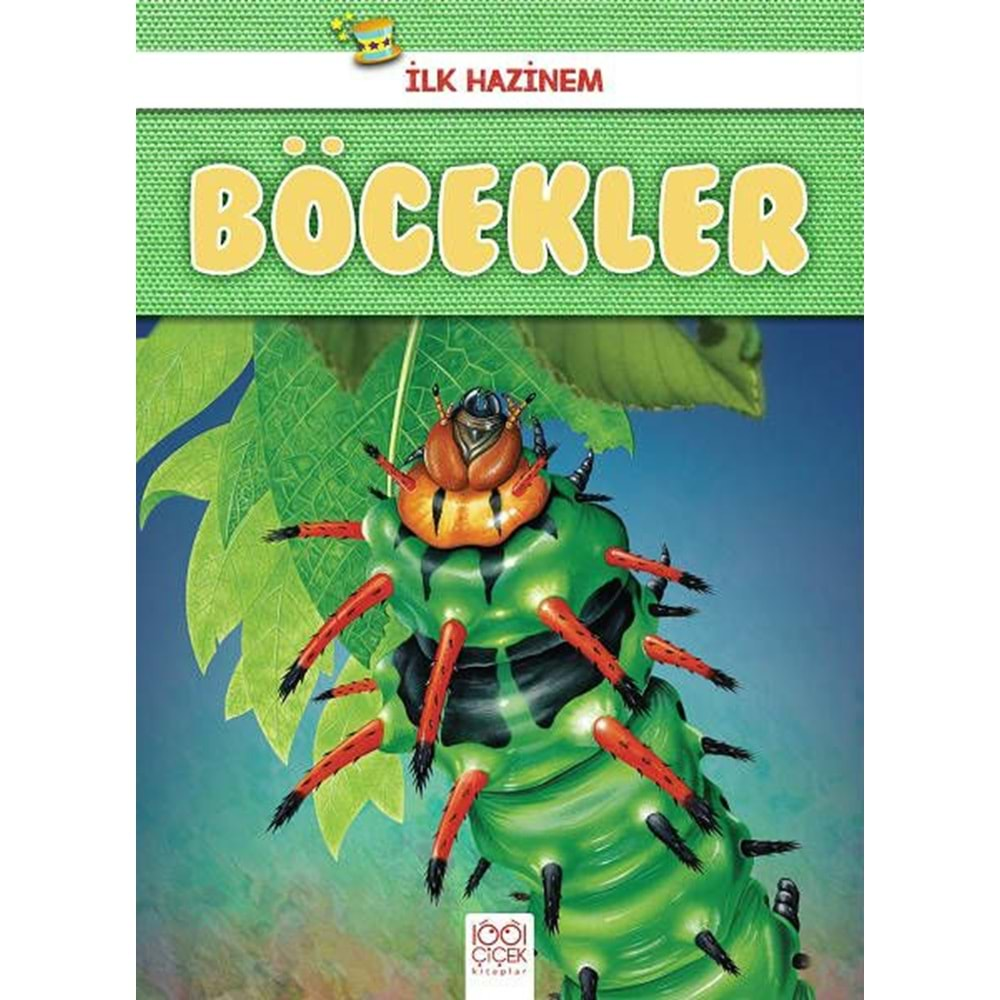 Böcekler