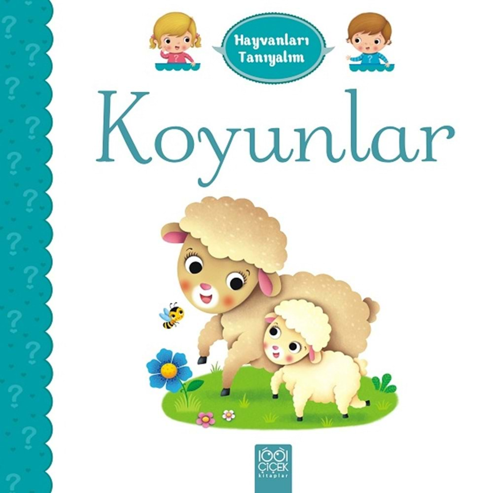 Koyunlar - Hayvanları Tanıyalım