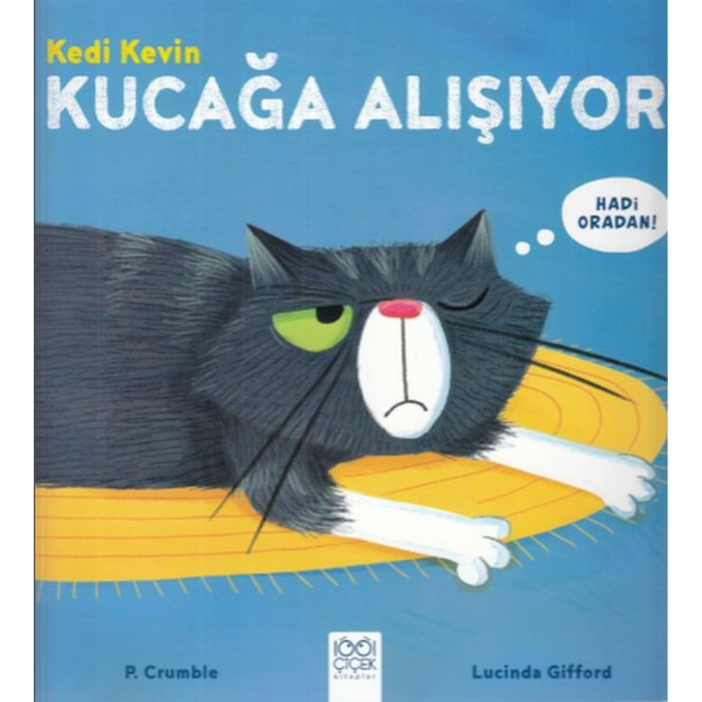 Kedi Kevin Kucağa Alışıyor