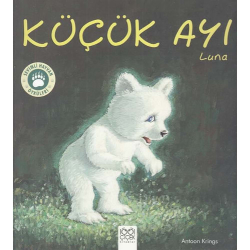 Küçük Ayı Luna