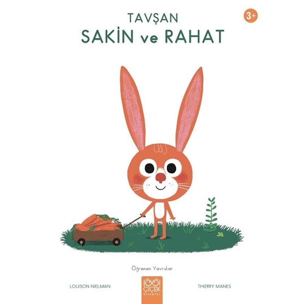 Tavşan Sakin ve Rahat