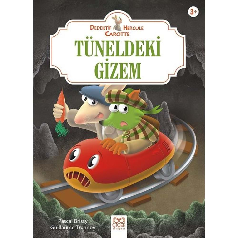 Tüneldeki Gizem