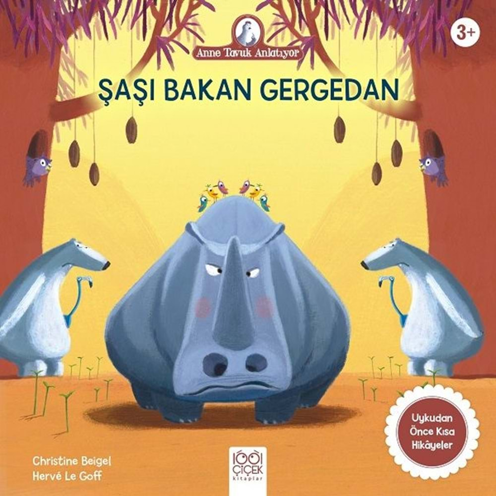 Şaşı Bakan Gergedan