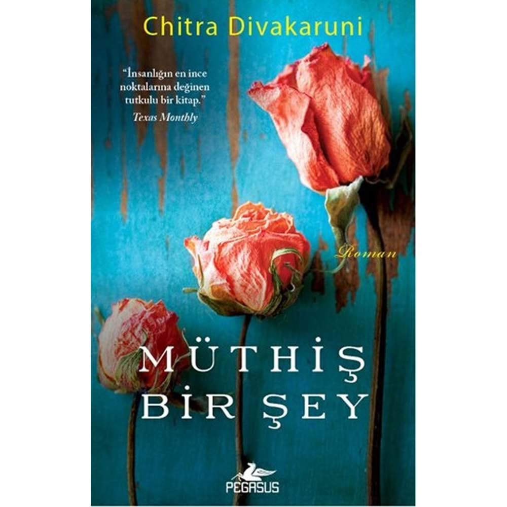 Müthiş Bir Şey