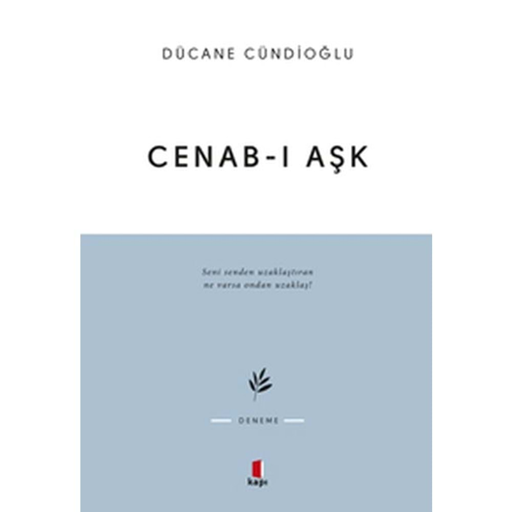 Cenab-ı Aşk