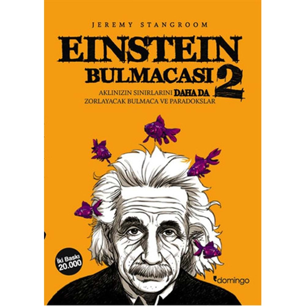 Einstein Bulmacası 2