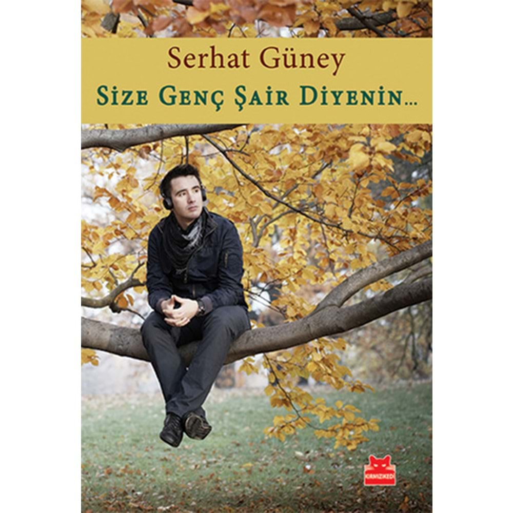 Size Genç Şair Diyenin...