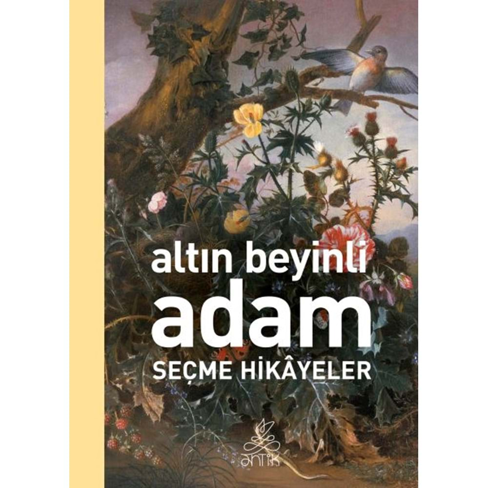 Altın Beyinli Adam