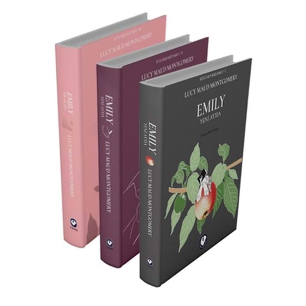 Rüzgarın Kızı Emily Serisi 3 Kitap