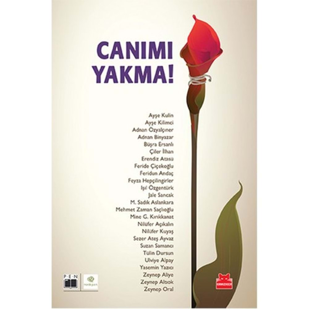 Canımı Yakma