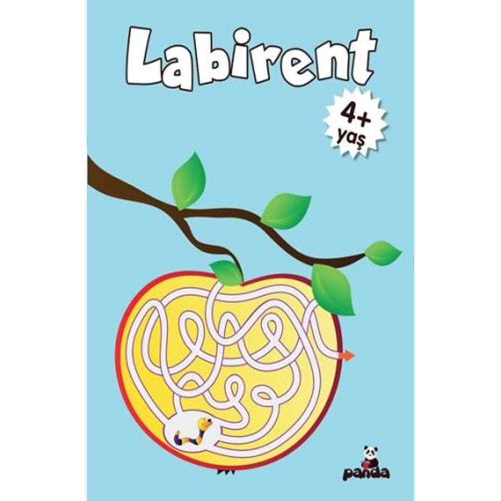 Labirent 4 Yaş