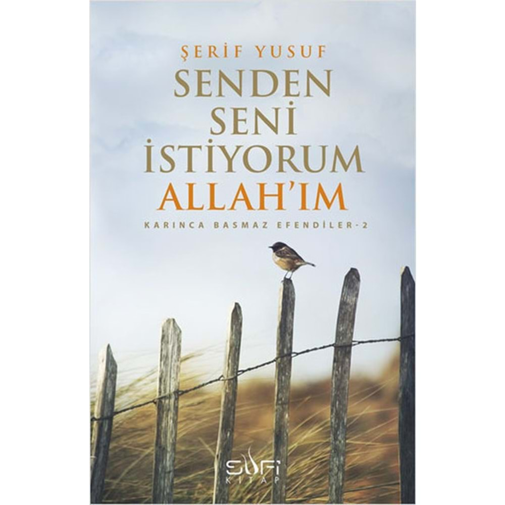 Senden Seni İstiyorum Allah'ım