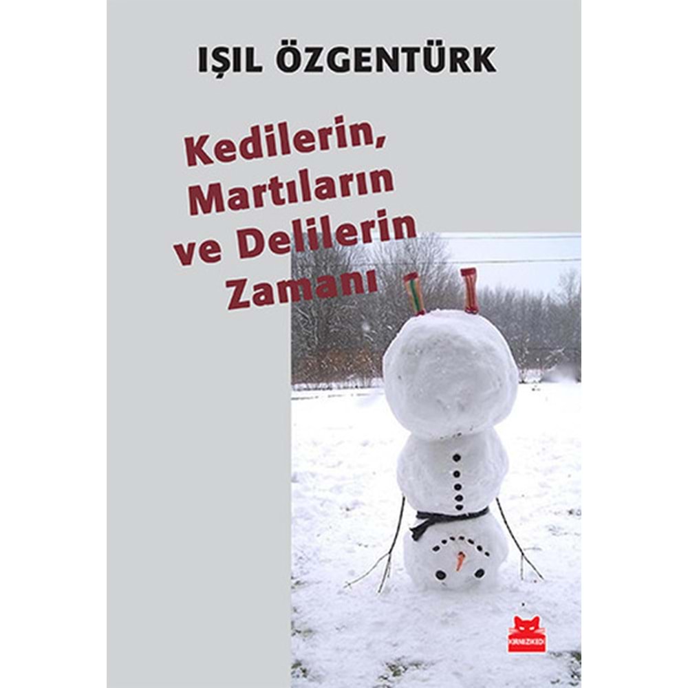 Kedilerin, Martıların ve Delilerin Zamanı