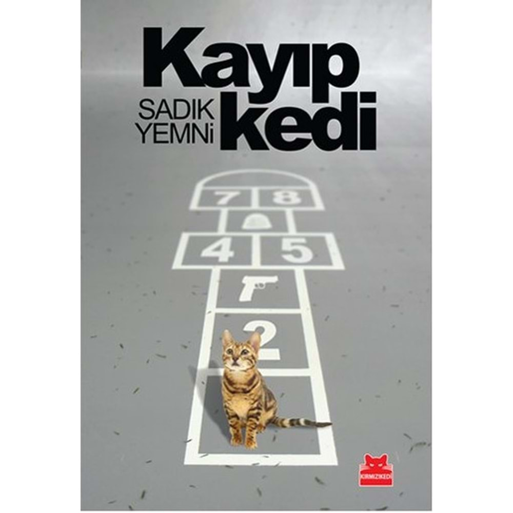 Kayıp Kedi