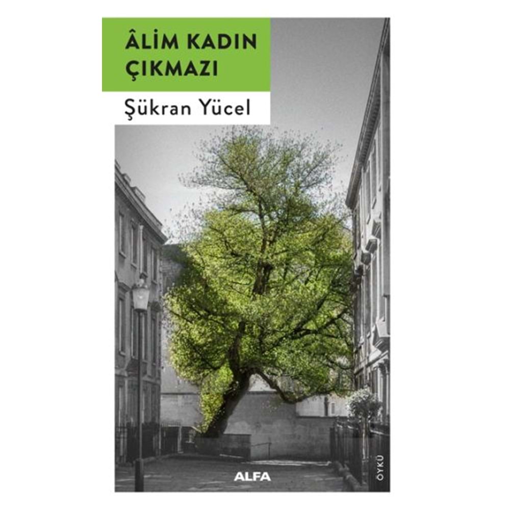 Alim Kadın Çıkmazı