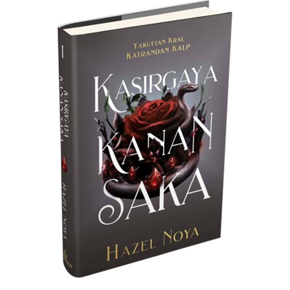Kasırgaya Kanan Saka 1 Ciltli