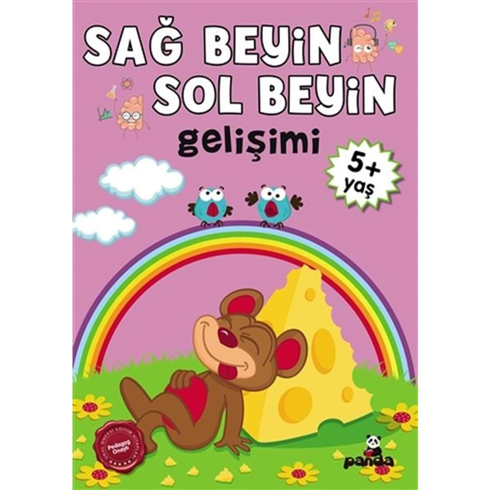 5 Yaş Sağ Beyin-Sol Beyin Gelişimi