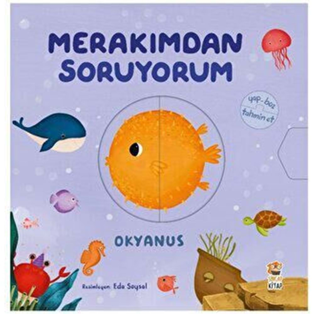 Merakımdan Soruyorum - Okyanus