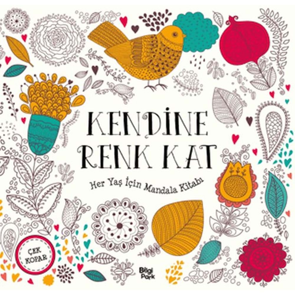 Kendine Renk Kat Her Yaş İçin Mandala
