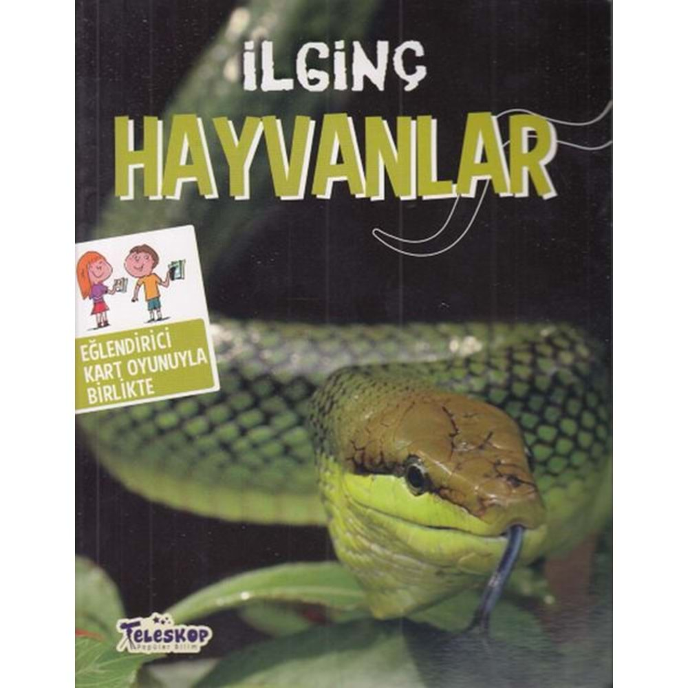 İlginç Hayvanlar - Karton Kitaplar