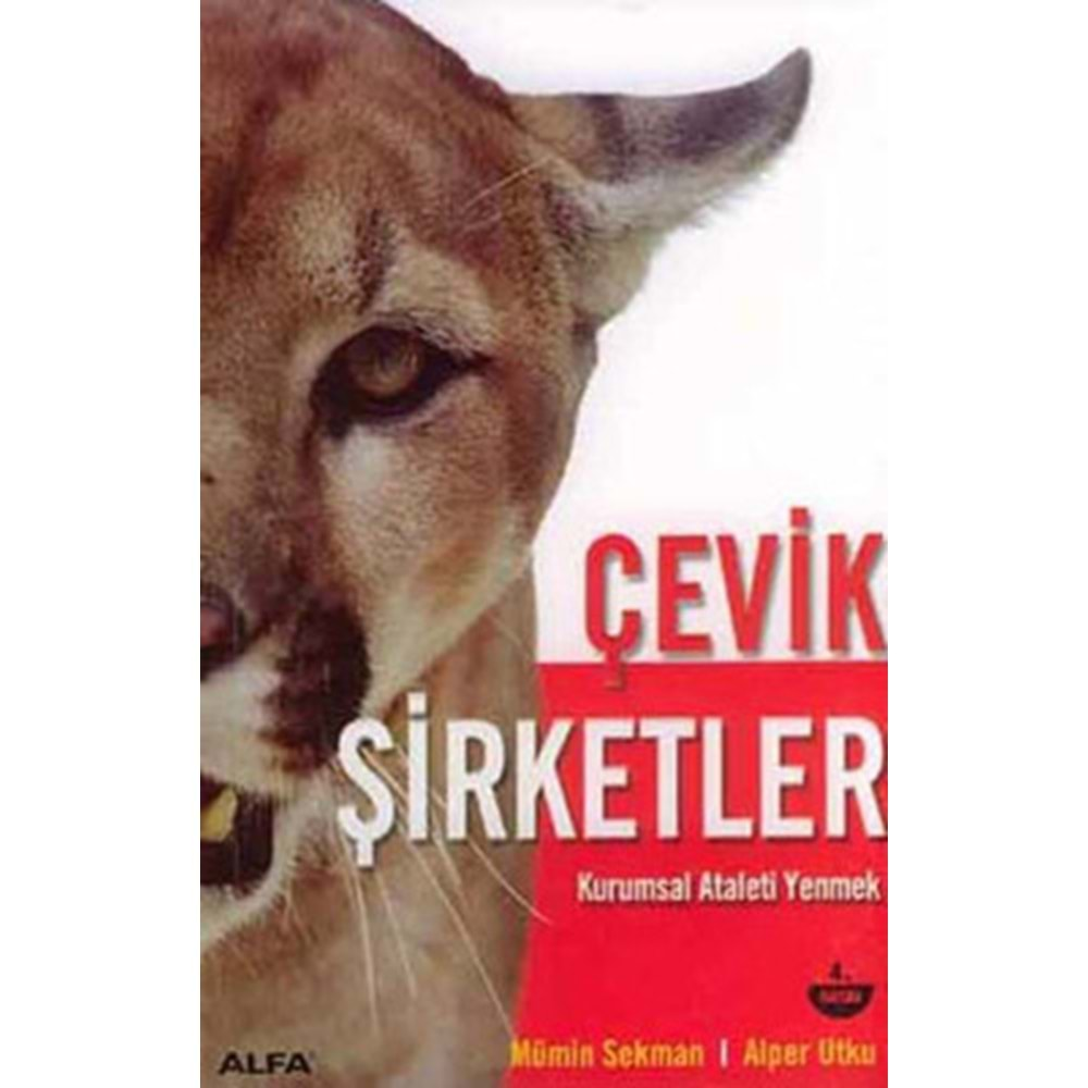 Çevik Şirketler