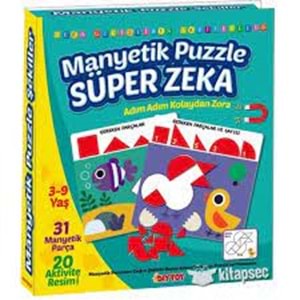 Diytoy Manyetik Puzzle Süper Zeka