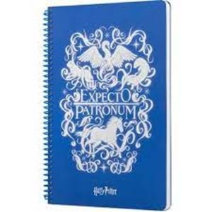 Harry Potter Expecto Spiralli Defter Mavi