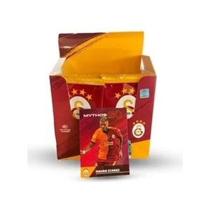 GALATASARAY KART LİSANSLI