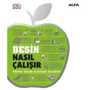 Besin Nasıl Çalışır (Ciltli)