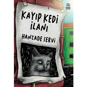 Kayıp Kedi İlanı