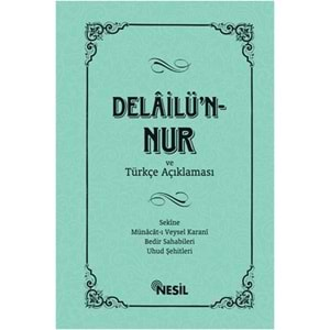 Delailün Nur