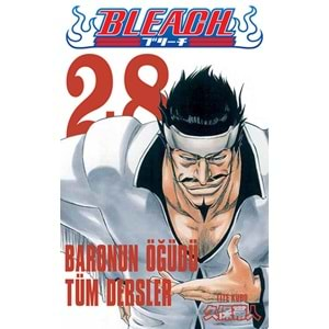 Bleach 28.Cilt