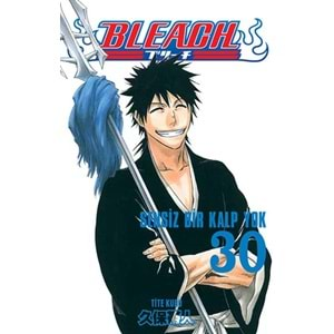 Bleach 30.Cilt