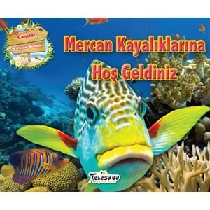 Mercan Kayalıklarına Hoş Geldiniz