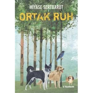 Ortak Ruh