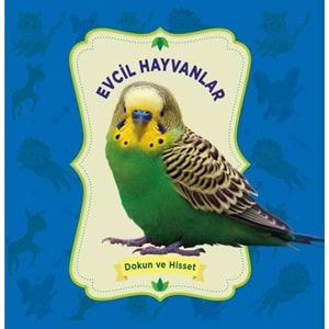 Evcil Hayvanlar - Dokun Ve Hisset